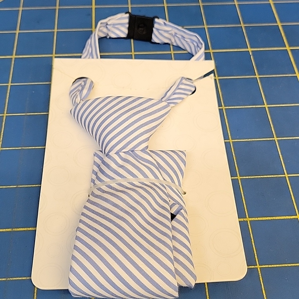 One Size Blue & White Striped Zipper Tie